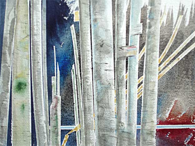 Birch by Water -  Watercolor by Roy Tomlinson